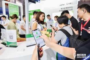 高燈科技亮相騰訊全球數(shù)字生態(tài)大會，專注打造智慧財稅極致體驗