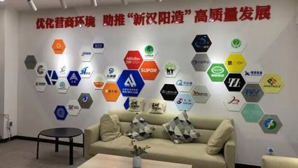 三重創(chuàng)新優(yōu)化服務 漢陽“四辦”改革經驗的全國推廣與技術推廣服務探索