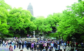 旅游服務新篇章 以品質提升為核心，借力廣告與傳播媒體運營引客來